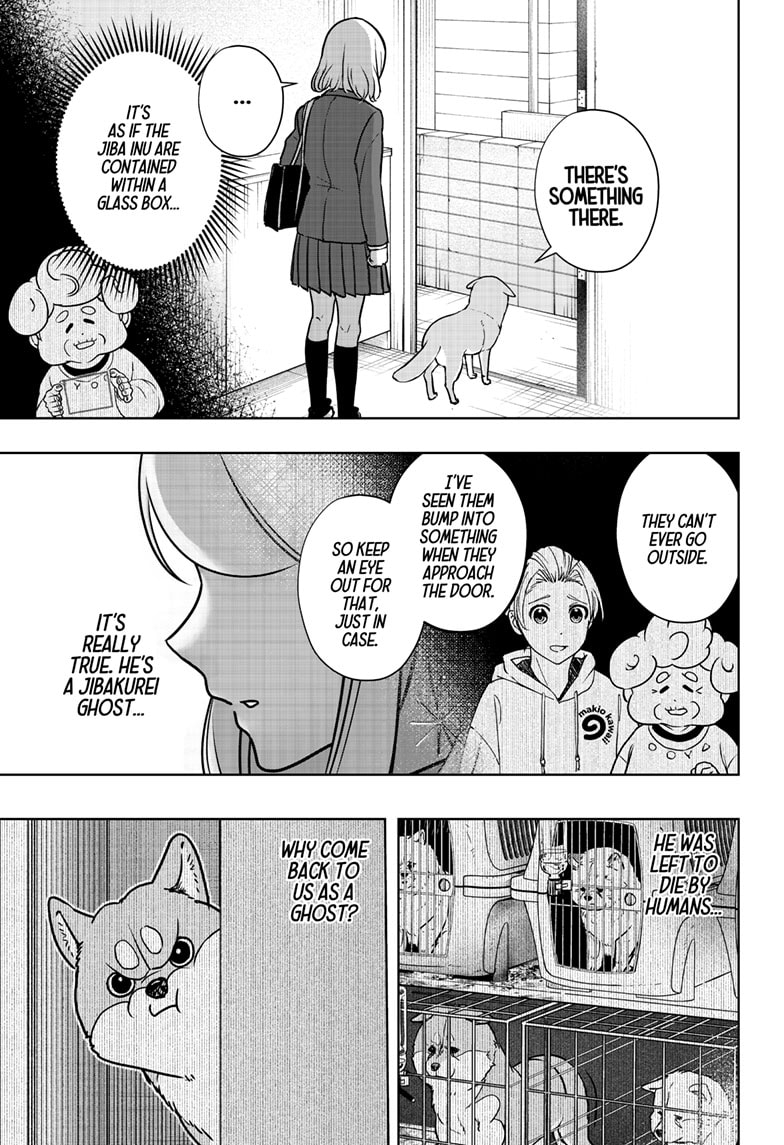 Read Shiba Inu Rooms EN Manga Online