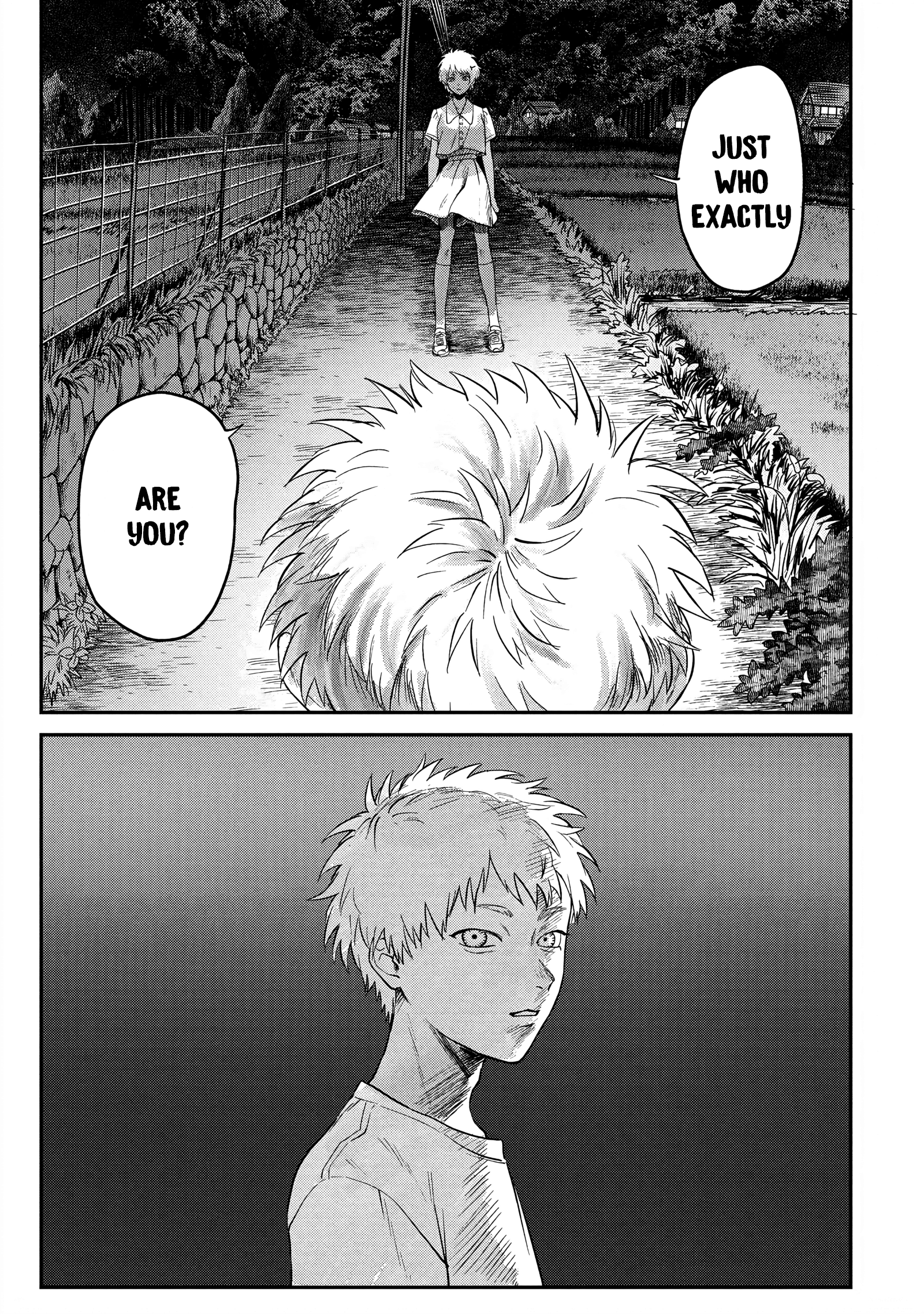 Read The Summer Hikaru Died EN Manga Online