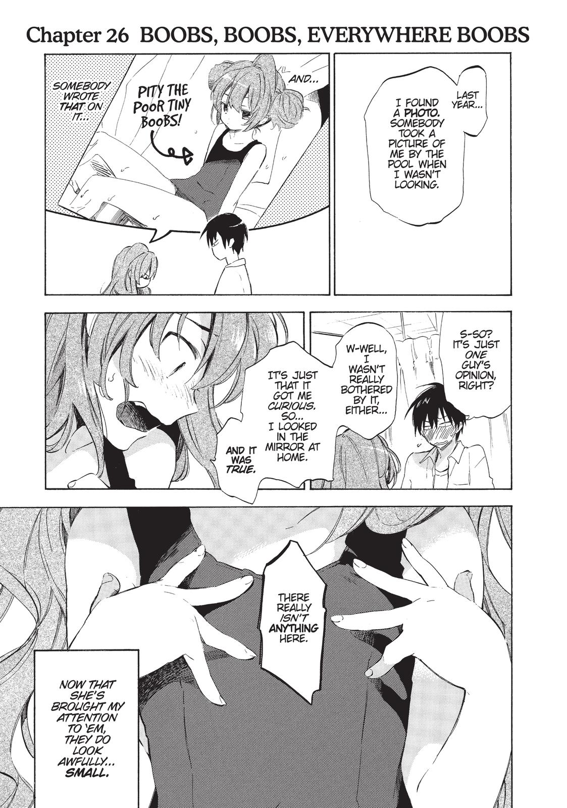 Read Toradora EN Manga Online