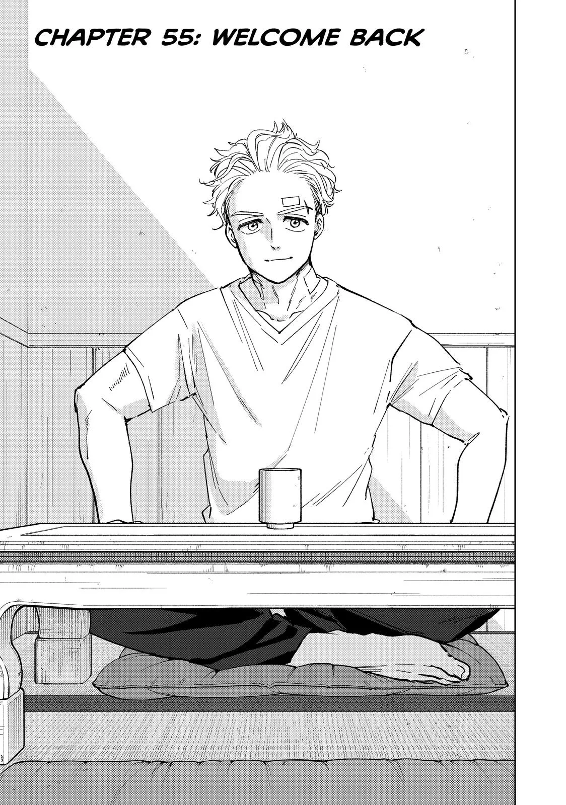 Read Wind Breaker (NII Satoru) EN Manga Online