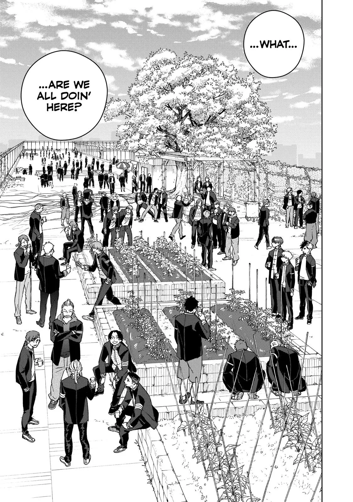 Read Wind Breaker (NII Satoru) EN Manga Online