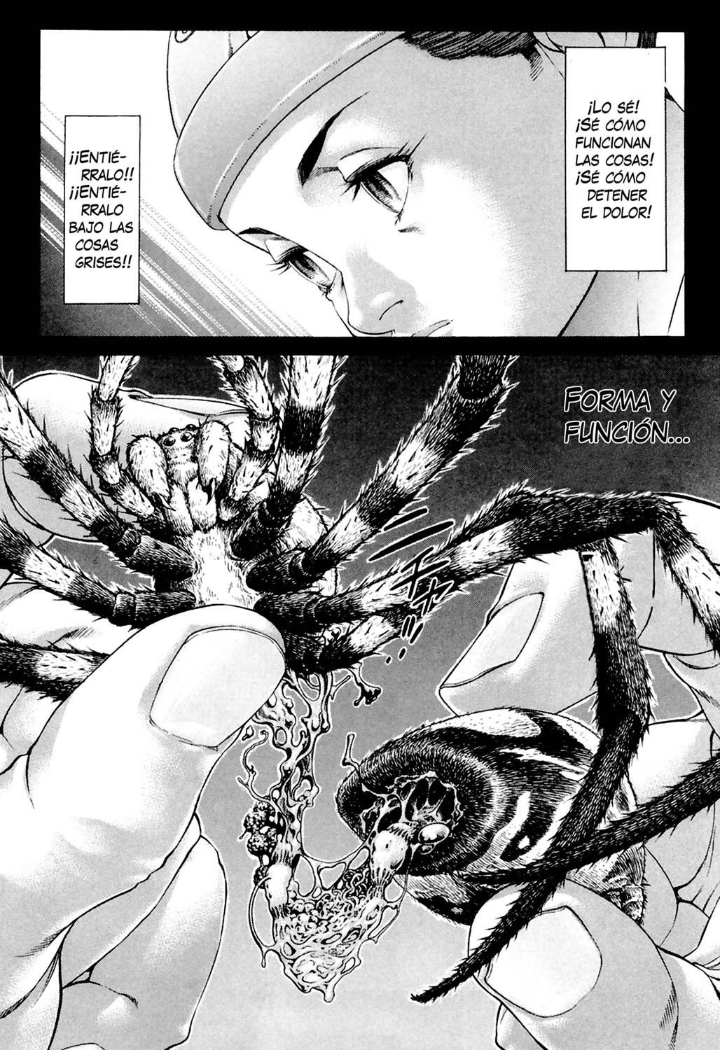 Read Battle Royale ES Manga Online