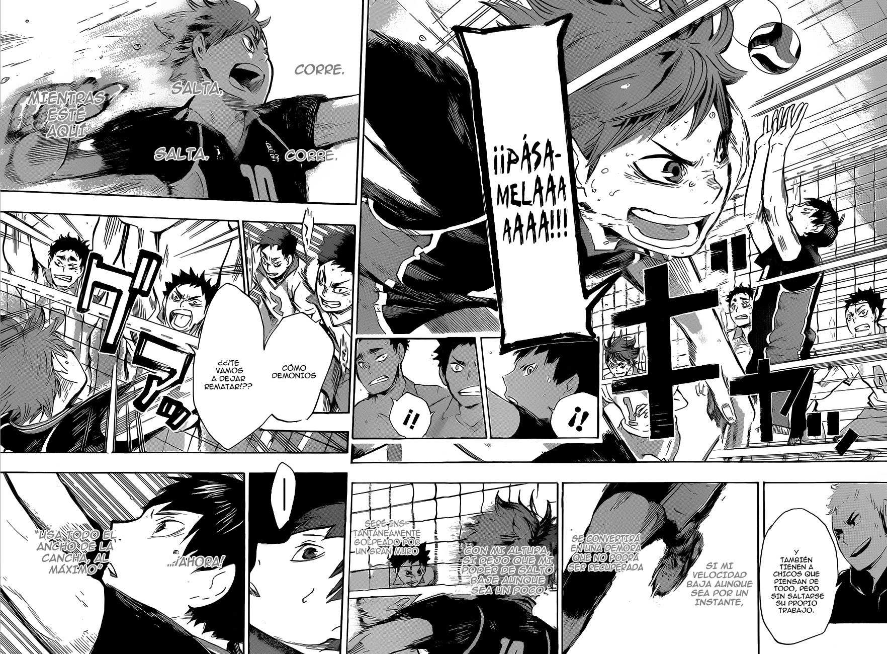 Read Haikyuu!! ES Manga Online