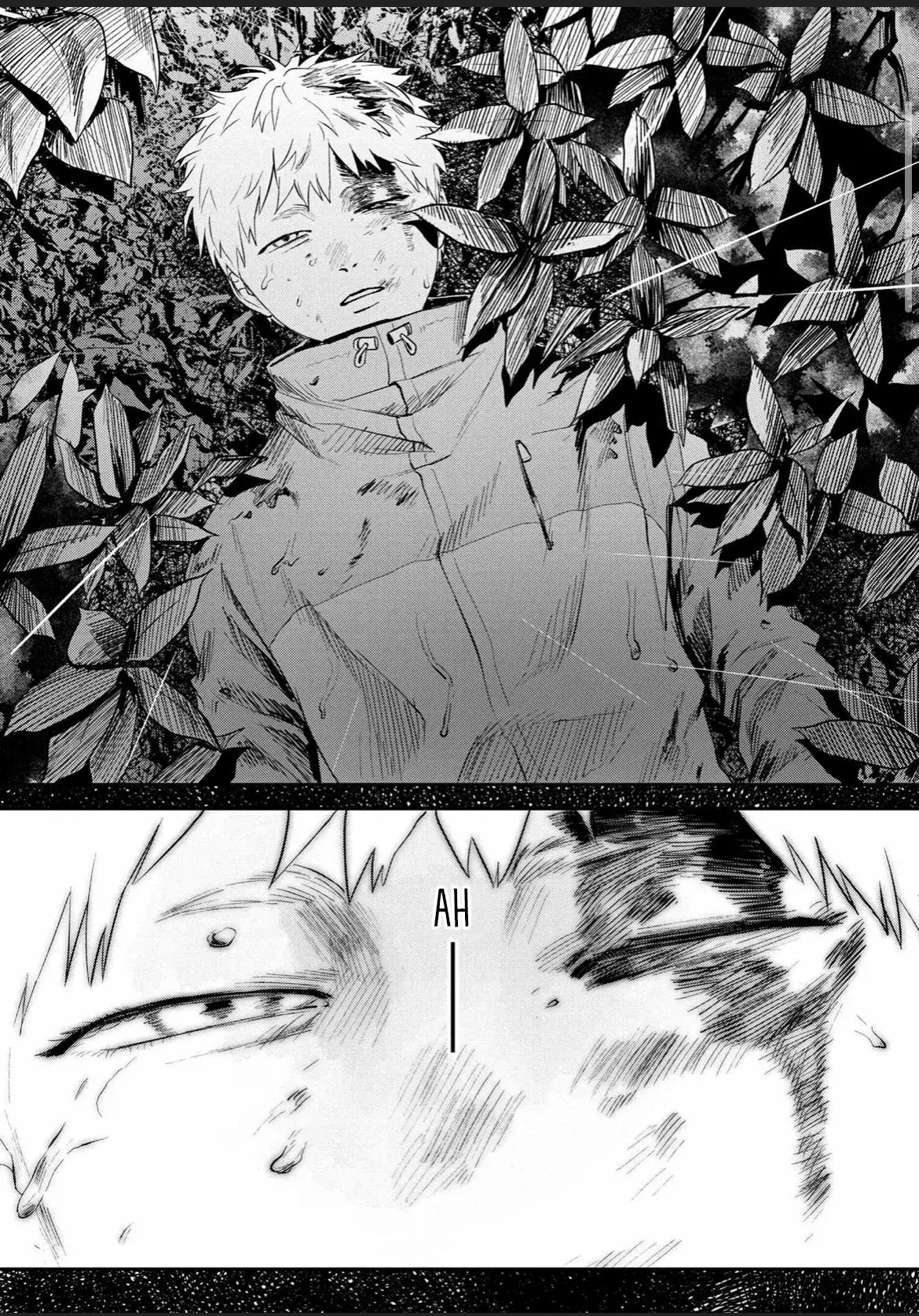 Read Hikaru no shinda Natsu ES Manga Online