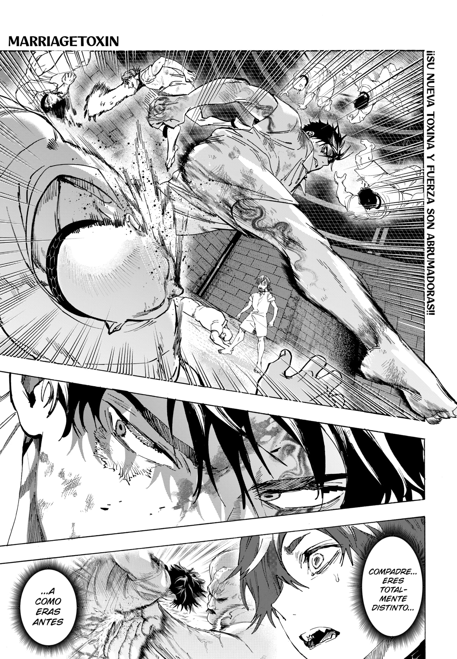 Read MARRIAGETOXIN ES Manga Online