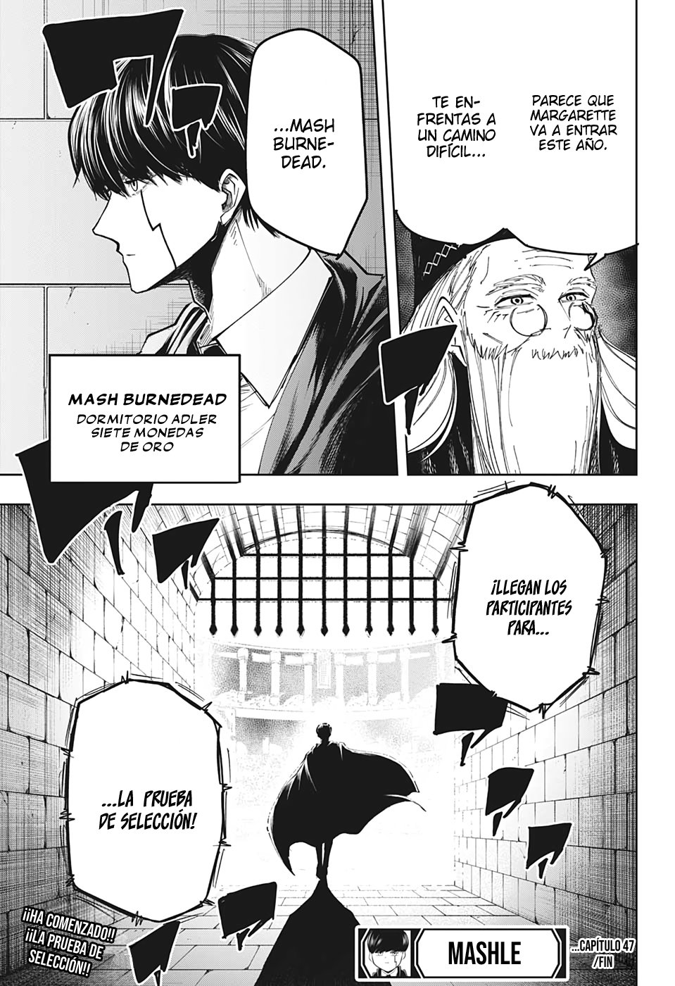 Read MASHLE ES Manga Online