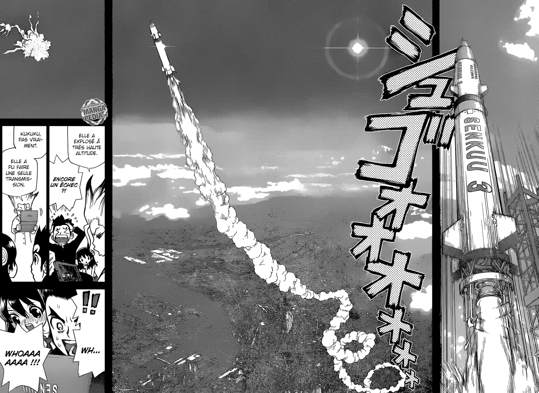 Read Dr. Stone FR Manga Online