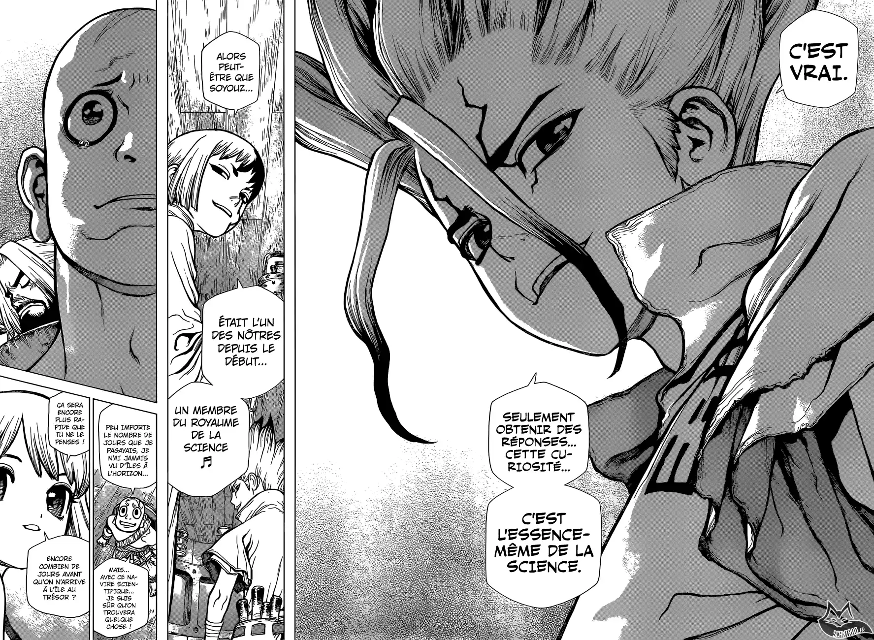 Read Dr. Stone FR Manga Online