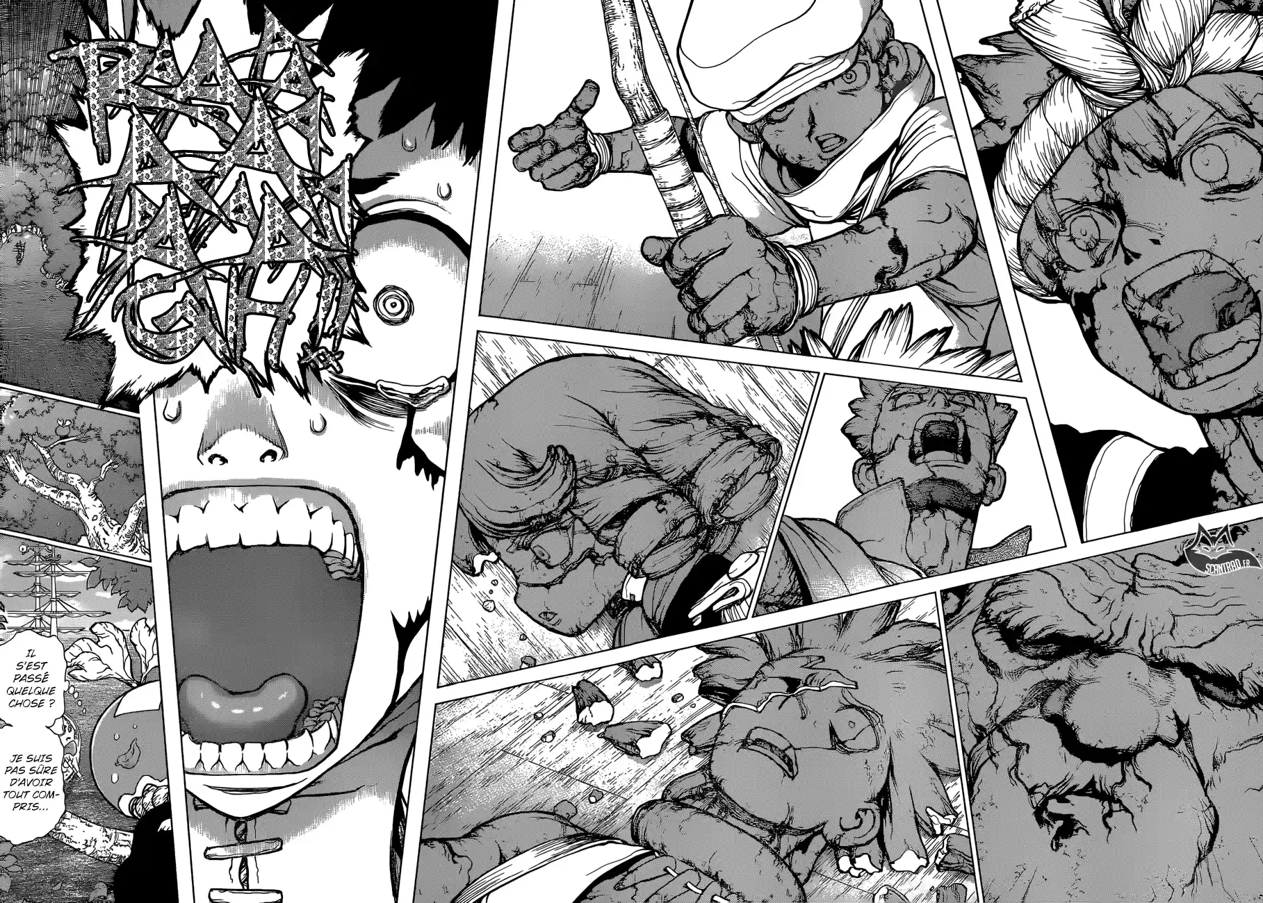 Read Dr. Stone FR Manga Online
