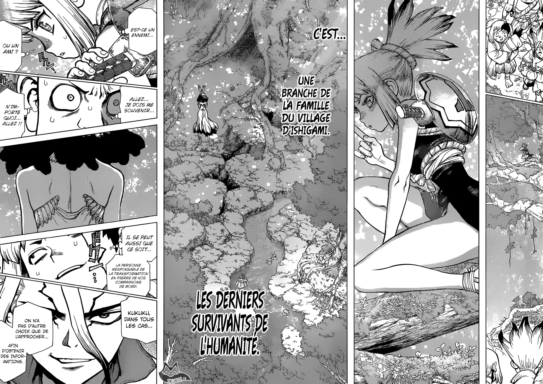 Read Dr. Stone FR Manga Online