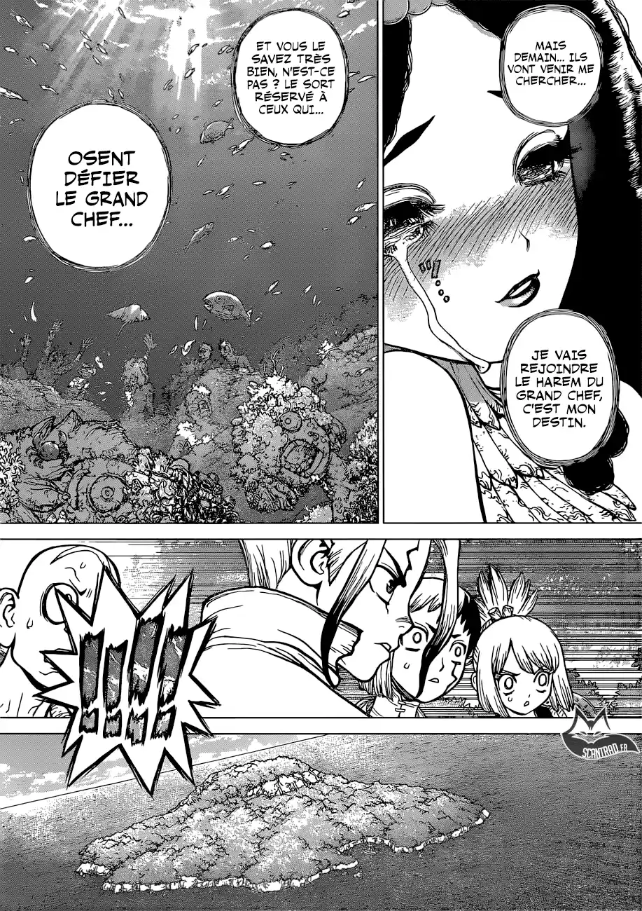 Read Dr. Stone FR Manga Online