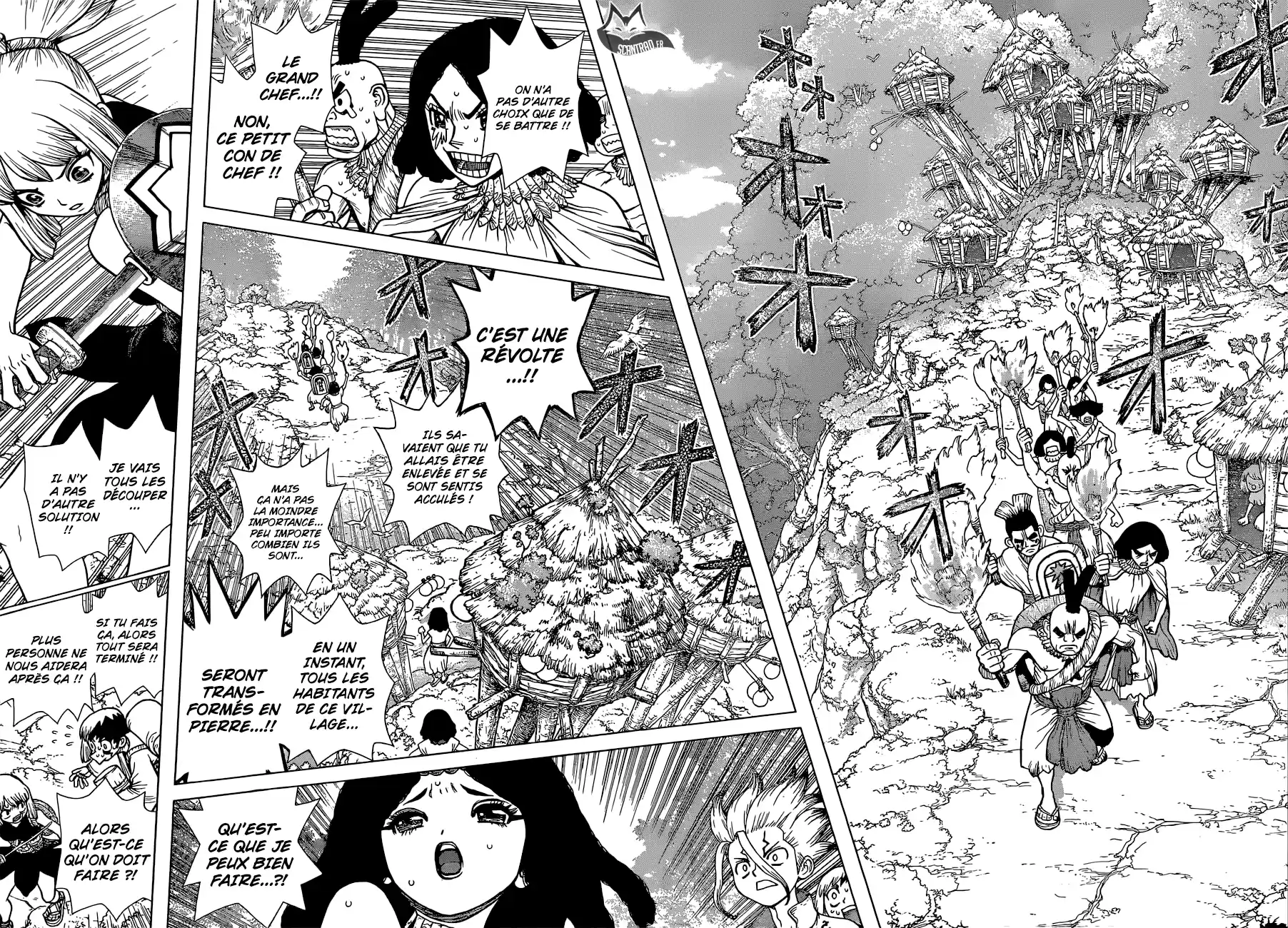 Read Dr. Stone FR Manga Online