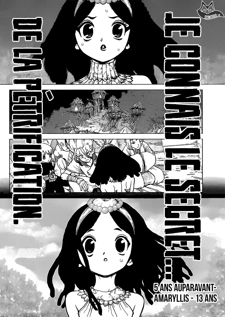 Read Dr. Stone FR Manga Online