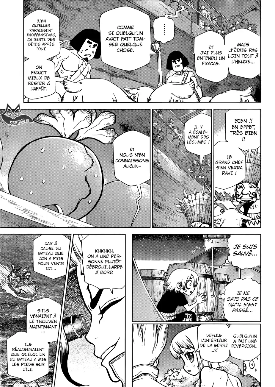 Read Dr. Stone FR Manga Online