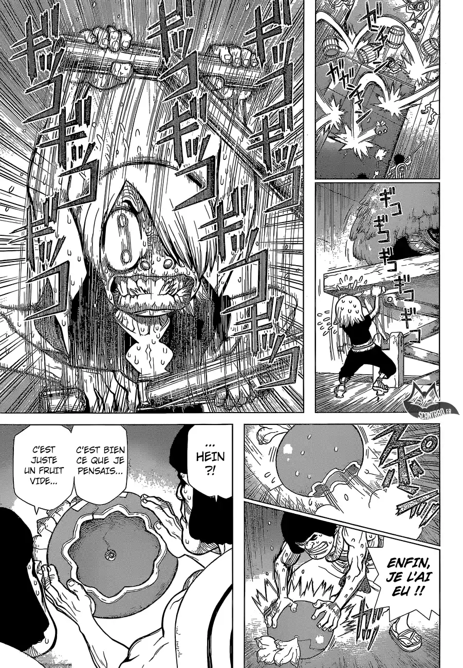 Read Dr. Stone FR Manga Online