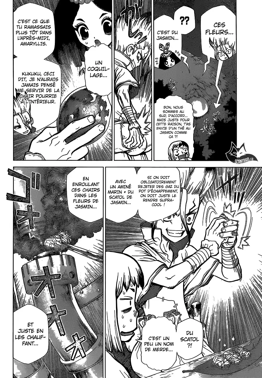 Read Dr. Stone FR Manga Online