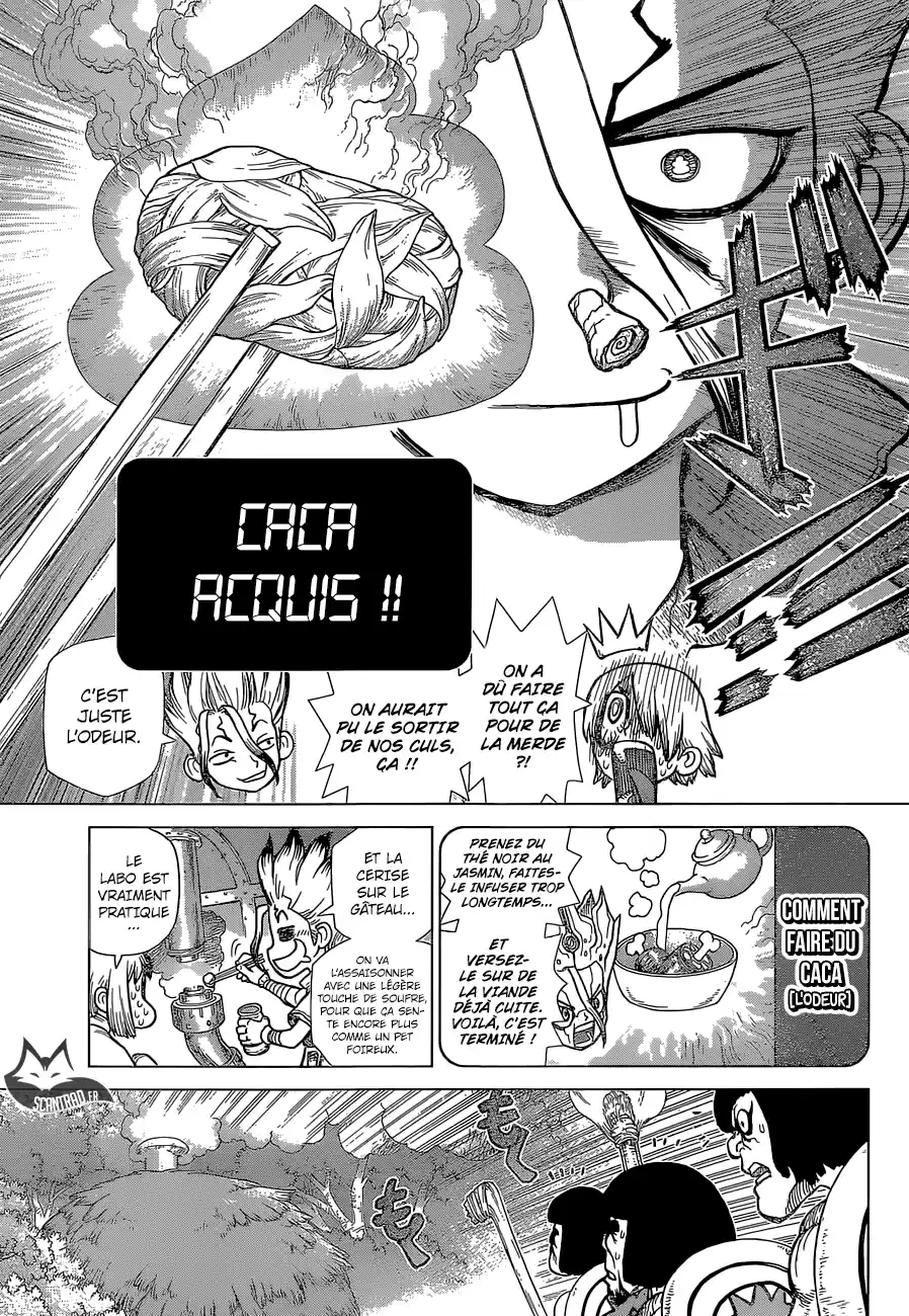 Read Dr. Stone FR Manga Online