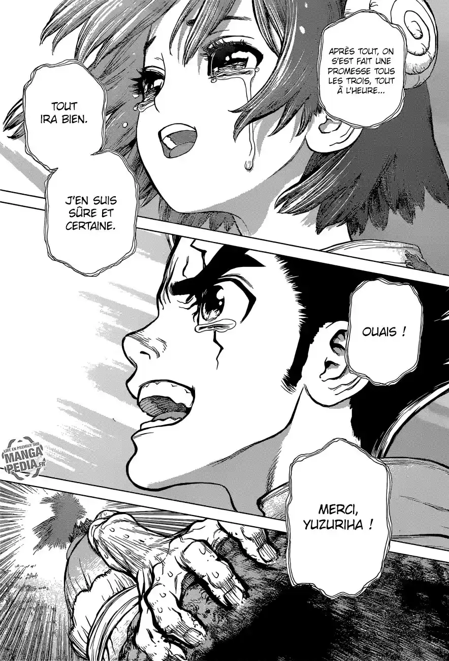 Read Dr. Stone FR Manga Online
