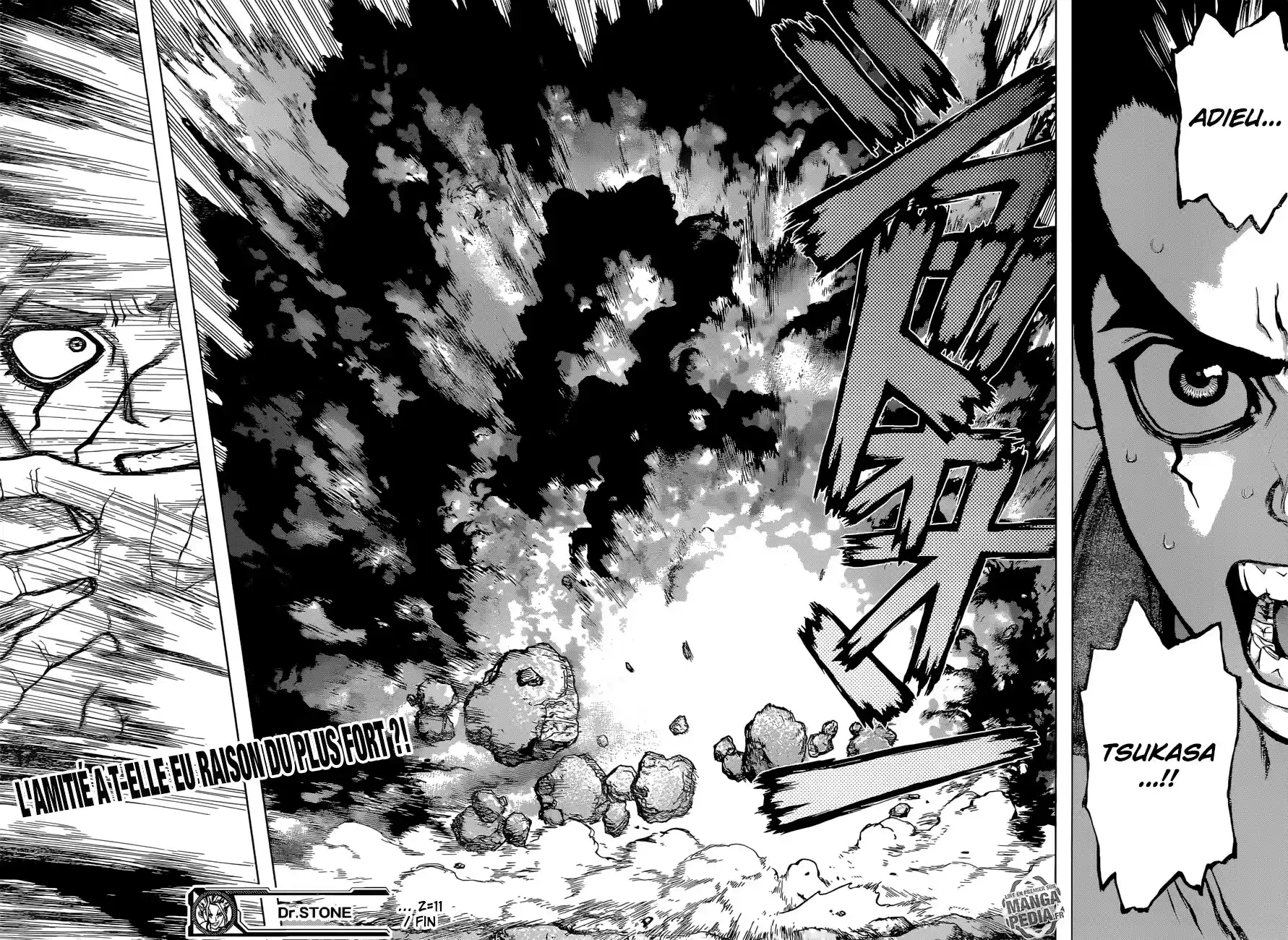 Read Dr. Stone FR Manga Online