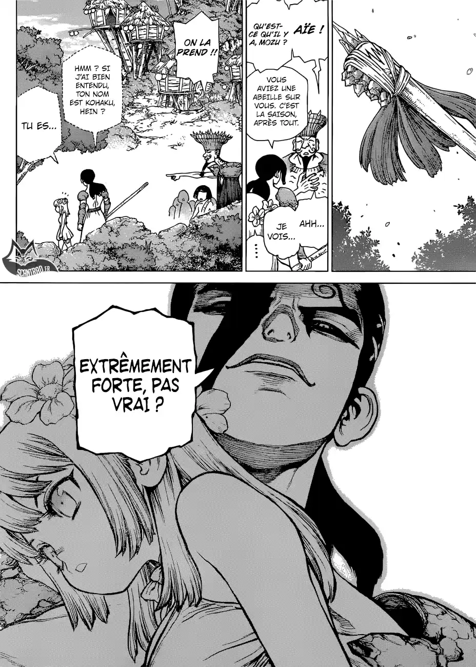 Read Dr. Stone FR Manga Online