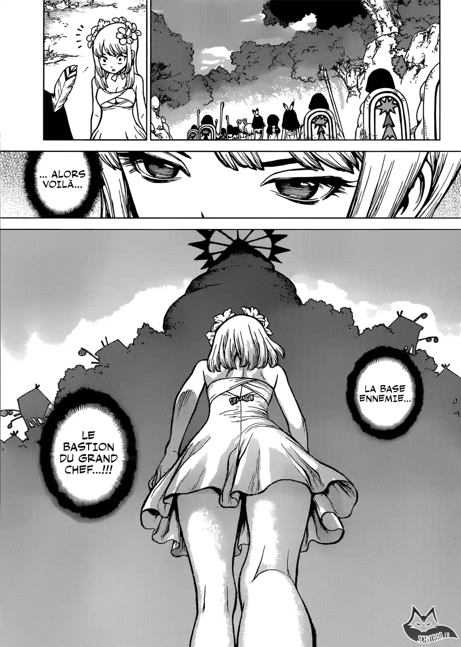 Read Dr. Stone FR Manga Online