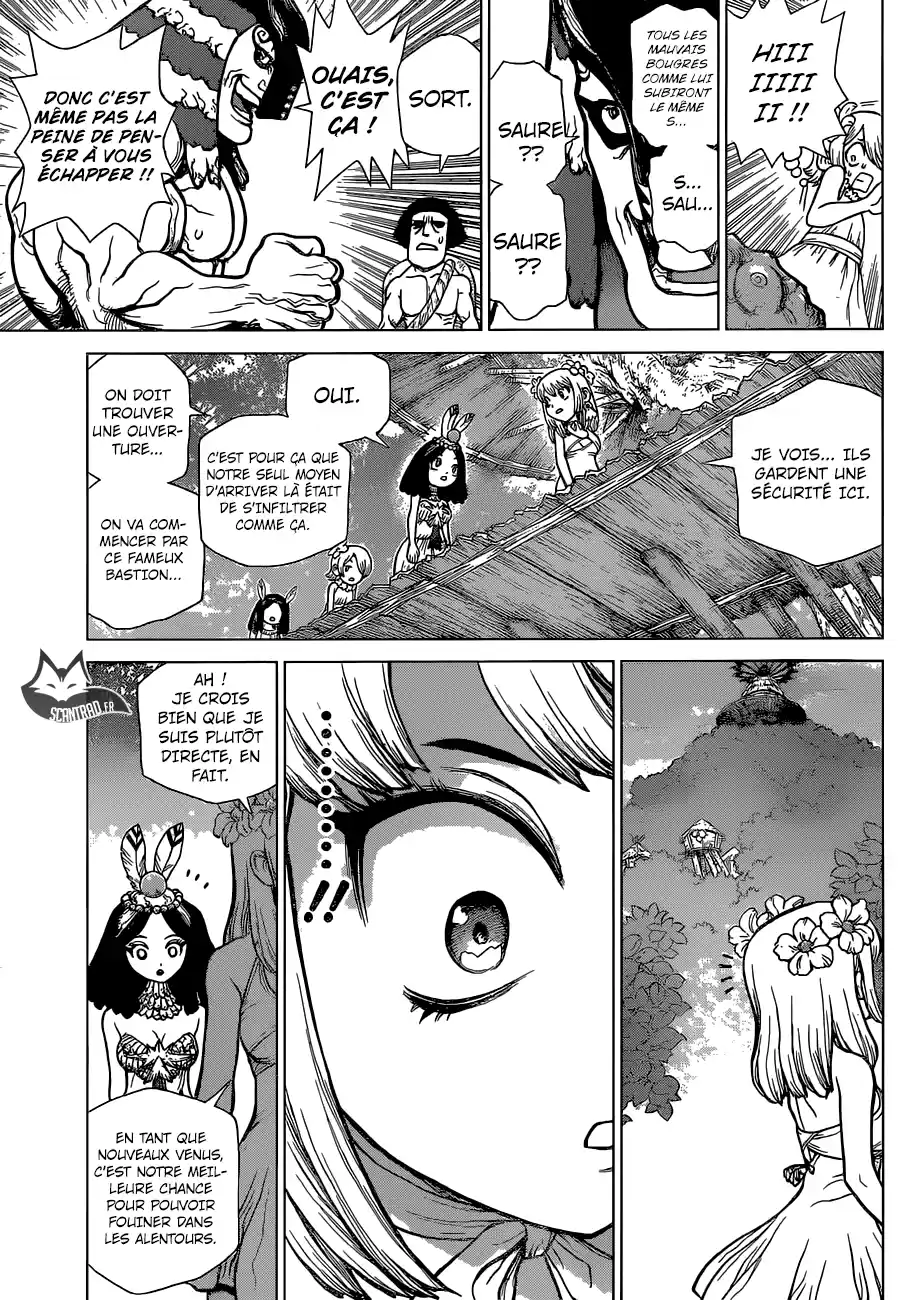 Read Dr. Stone FR Manga Online