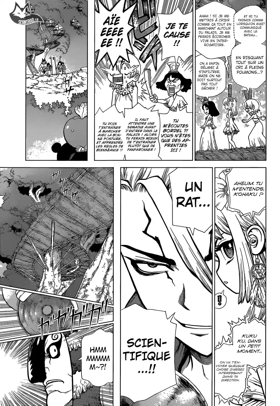 Read Dr. Stone FR Manga Online