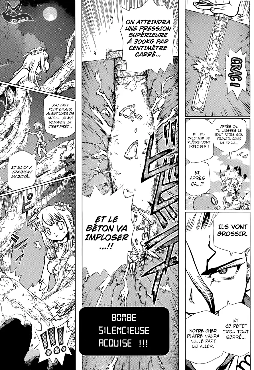 Read Dr. Stone FR Manga Online