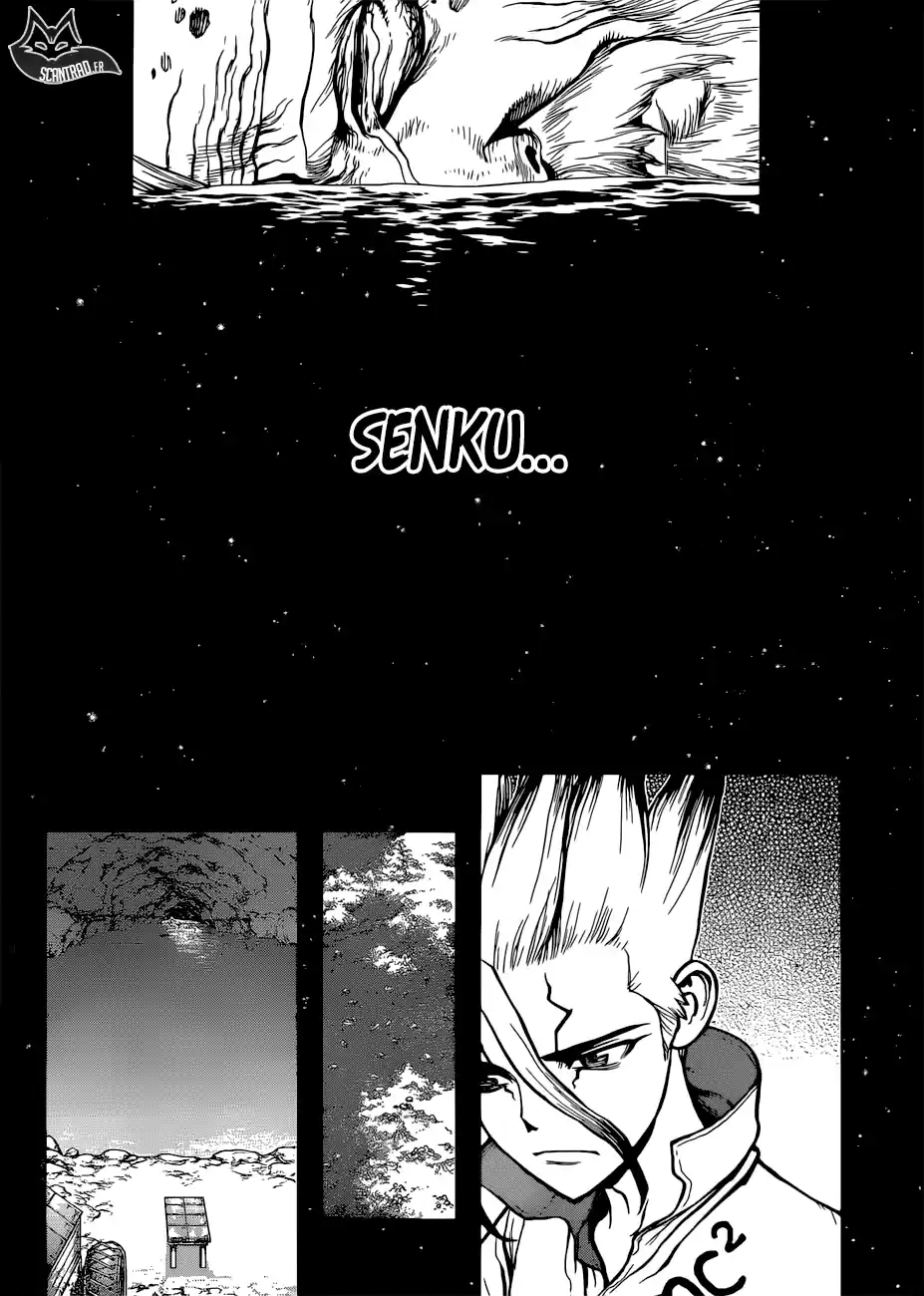 Read Dr. Stone FR Manga Online