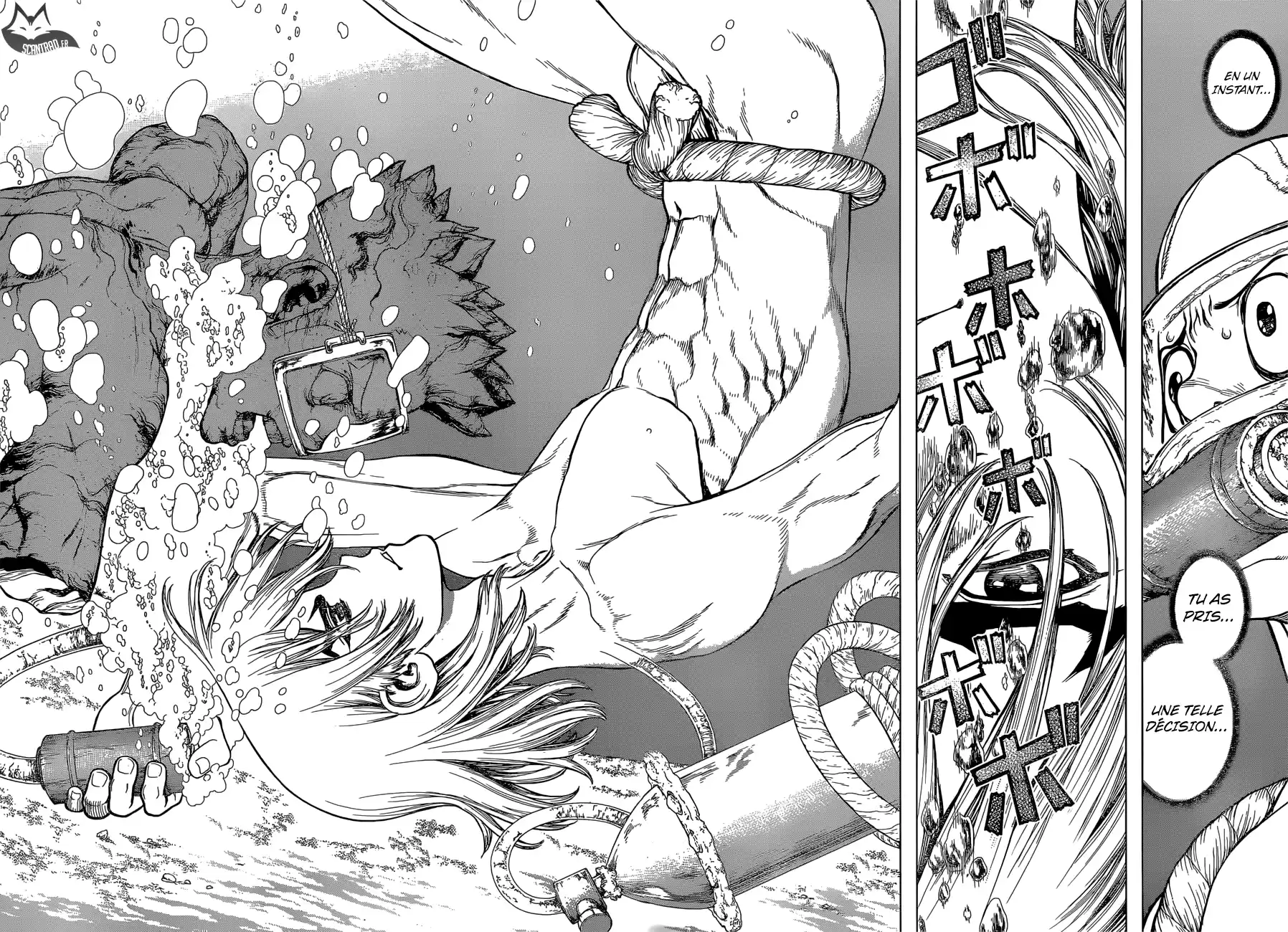 Read Dr. Stone FR Manga Online