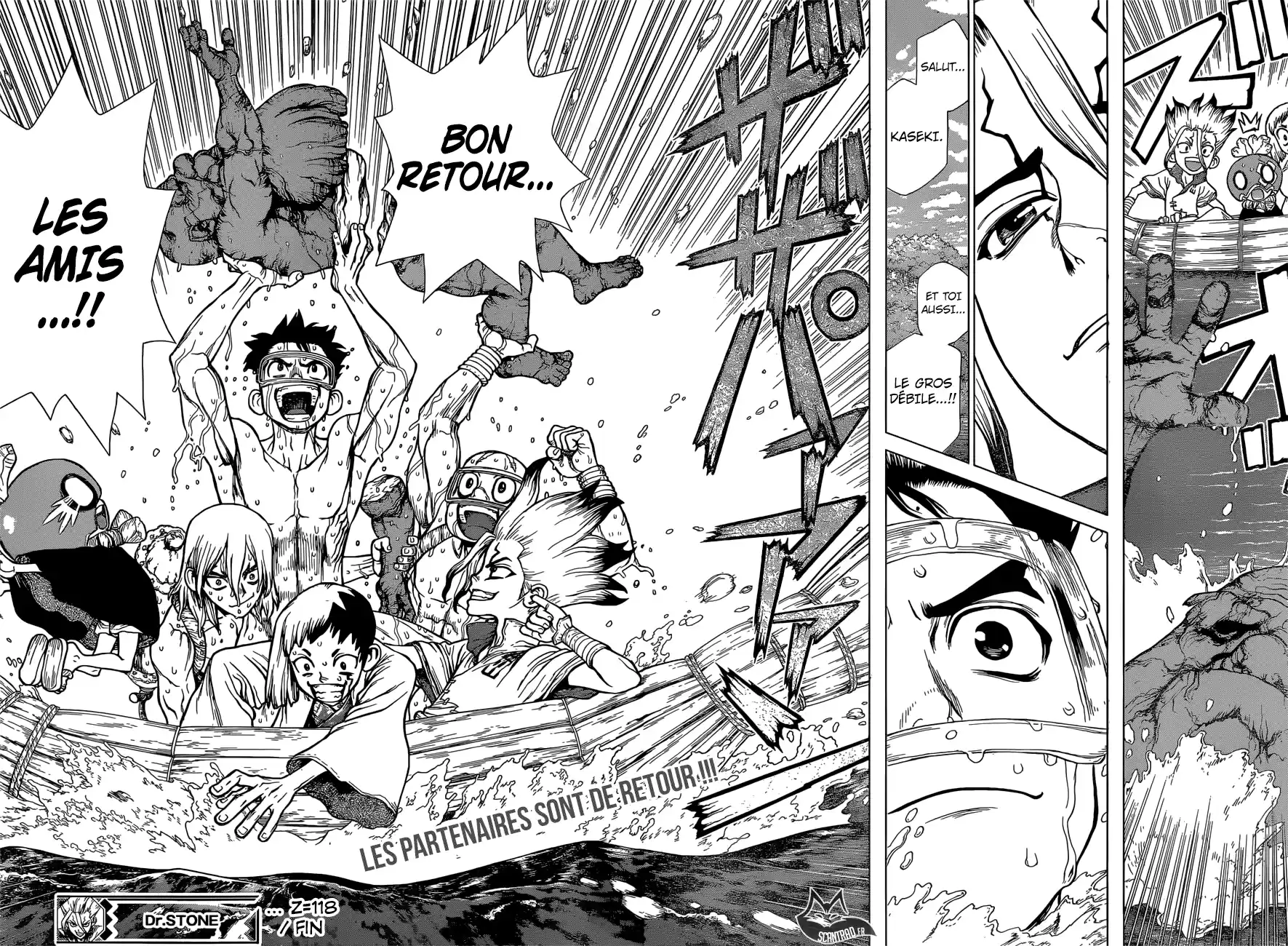 Read Dr. Stone FR Manga Online
