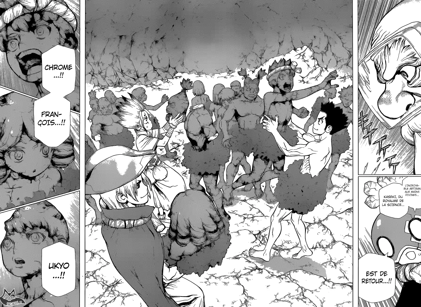 Read Dr. Stone FR Manga Online