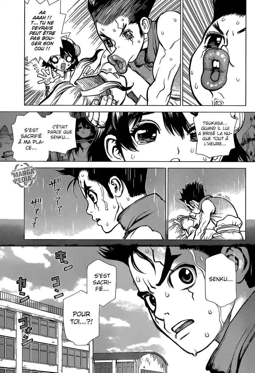 Read Dr. Stone FR Manga Online
