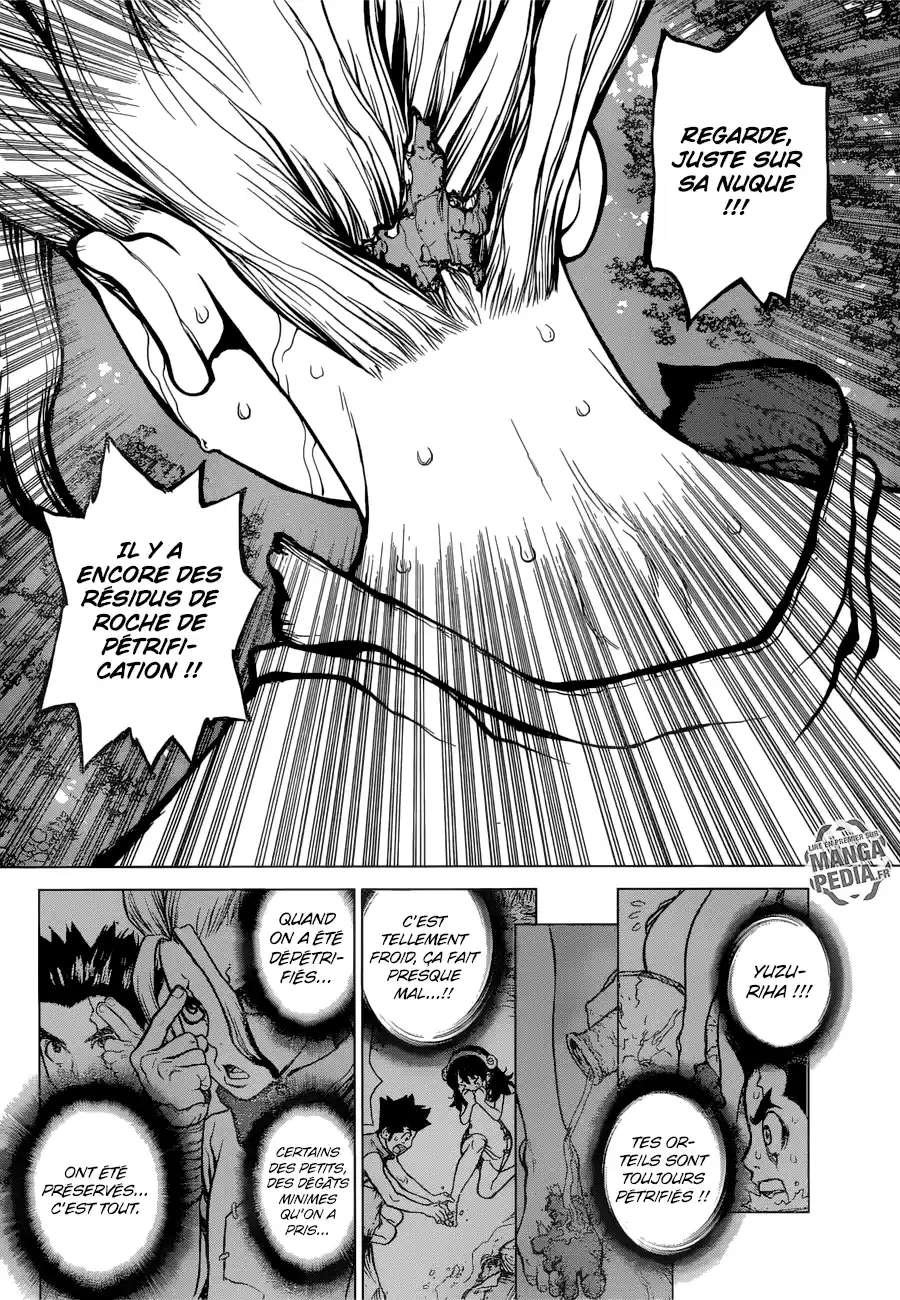 Read Dr. Stone FR Manga Online
