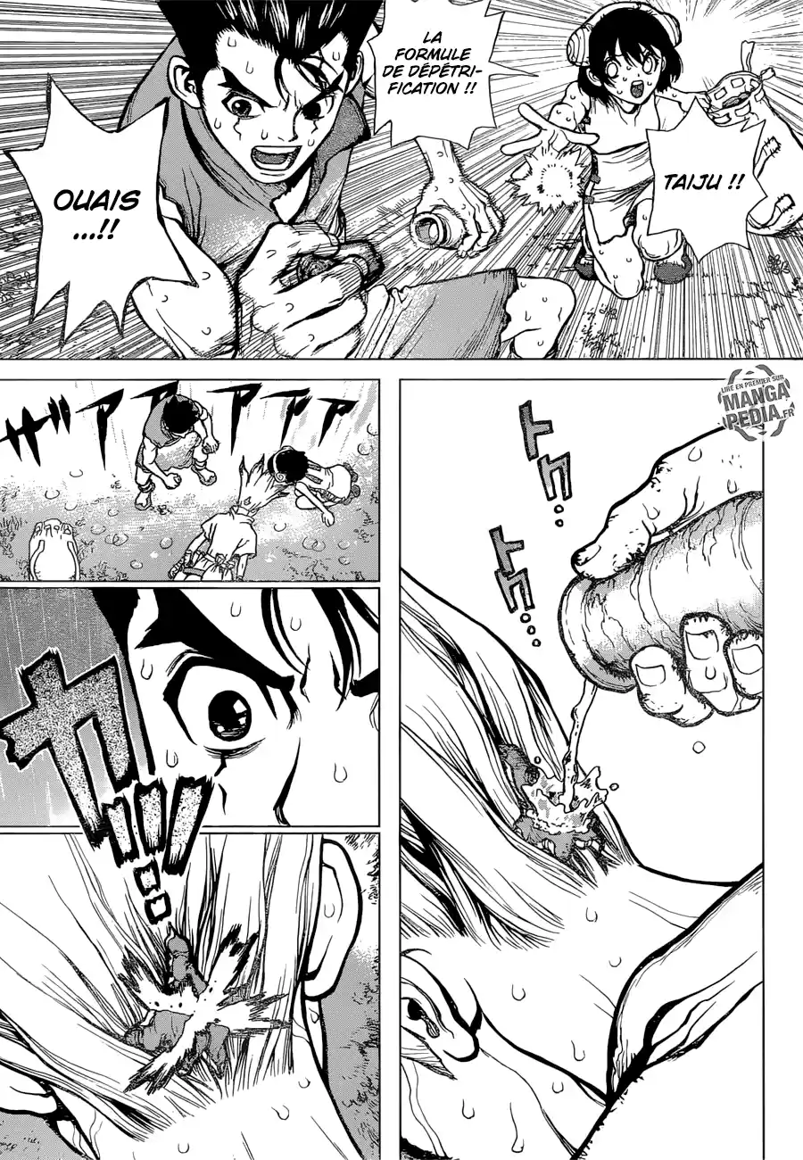 Read Dr. Stone FR Manga Online
