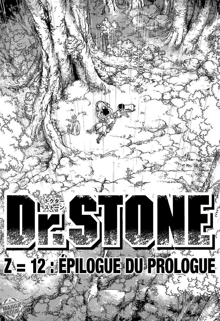 Read Dr. Stone FR Manga Online