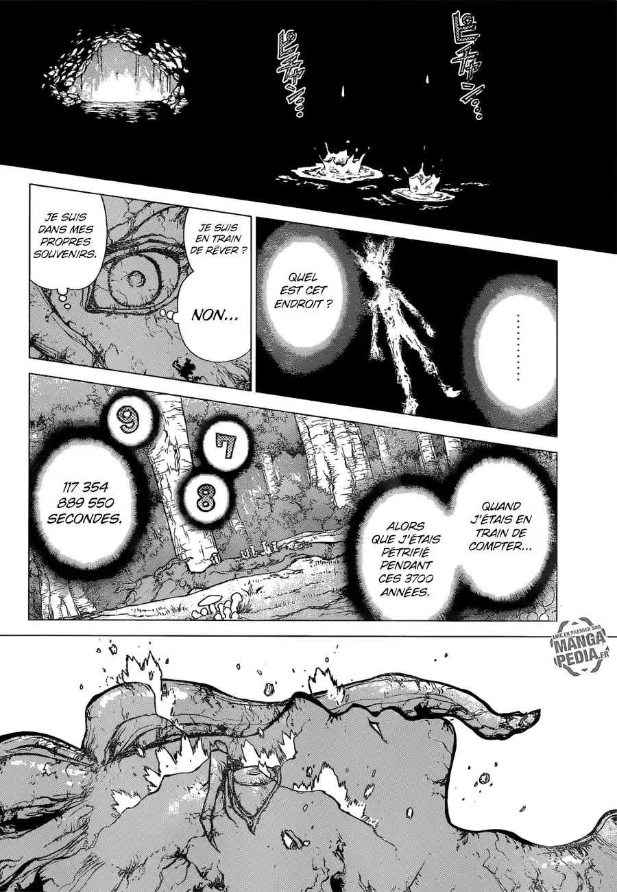 Read Dr. Stone FR Manga Online