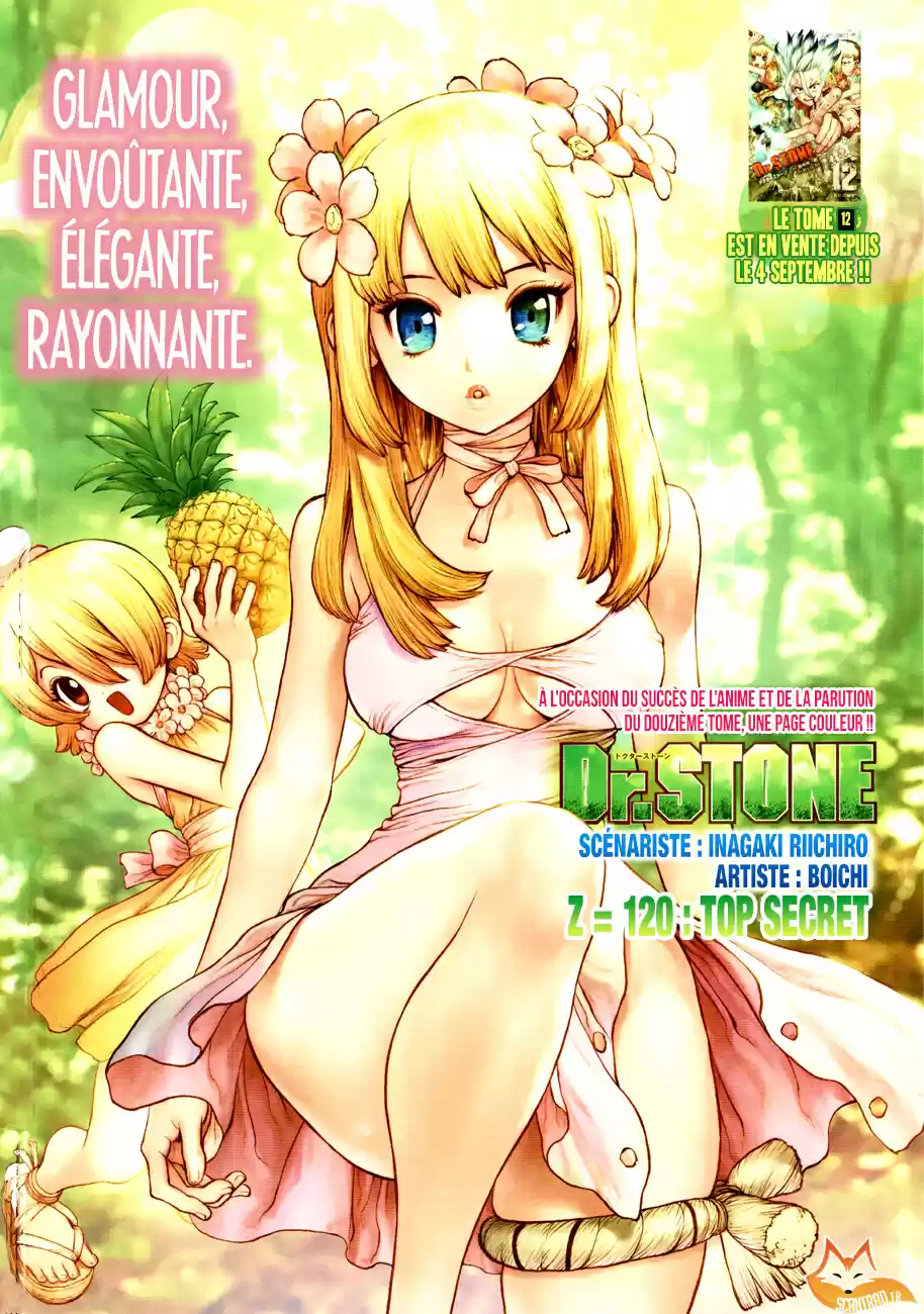 Read Dr. Stone FR Manga Online