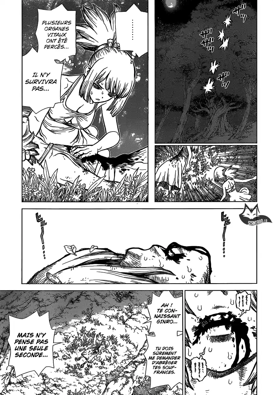 Read Dr. Stone FR Manga Online