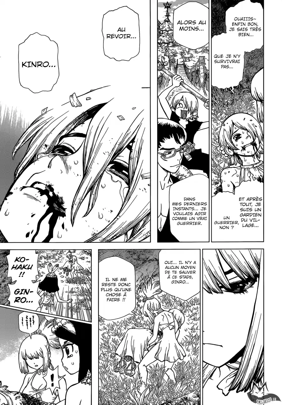 Read Dr. Stone FR Manga Online