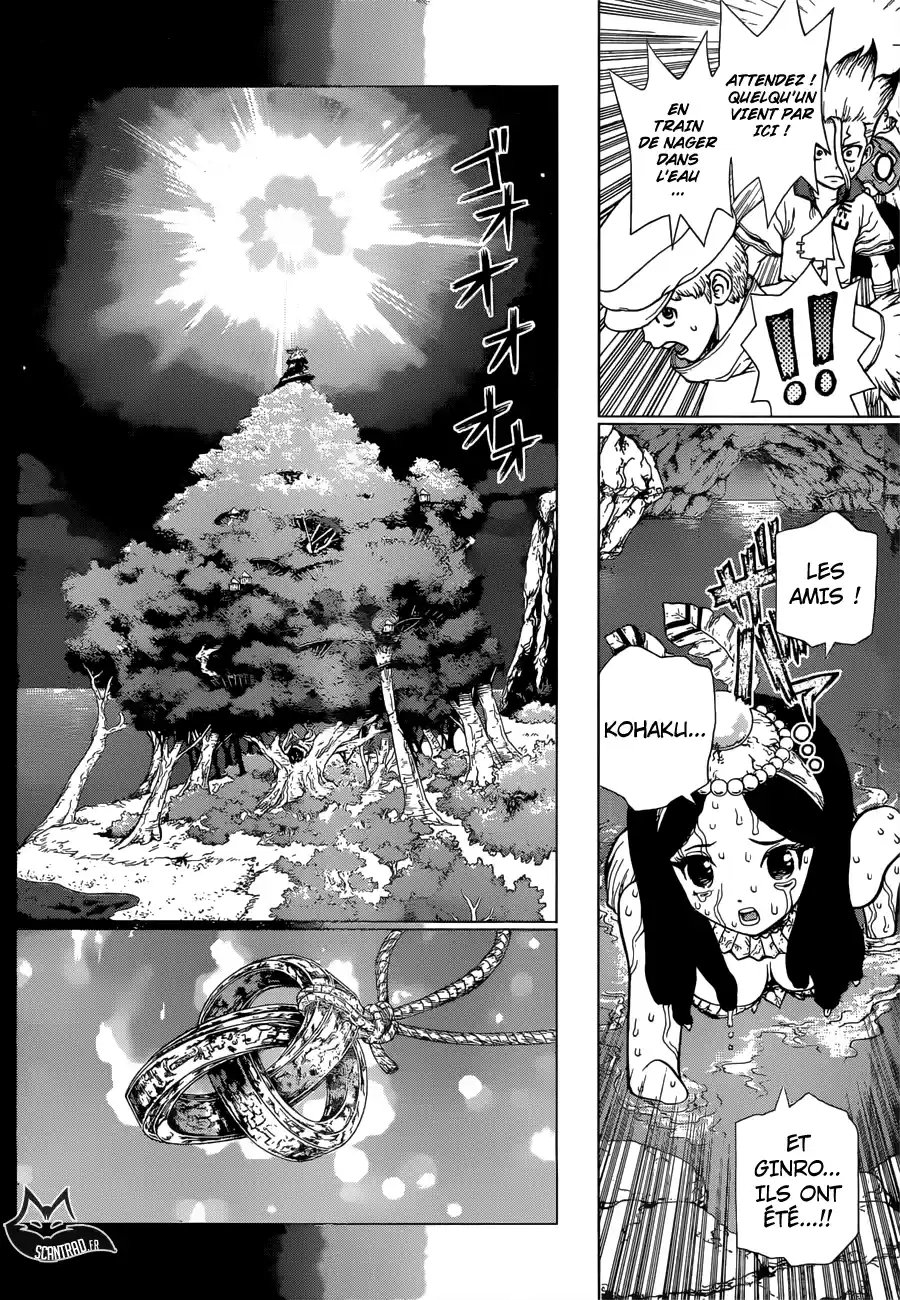 Read Dr. Stone FR Manga Online