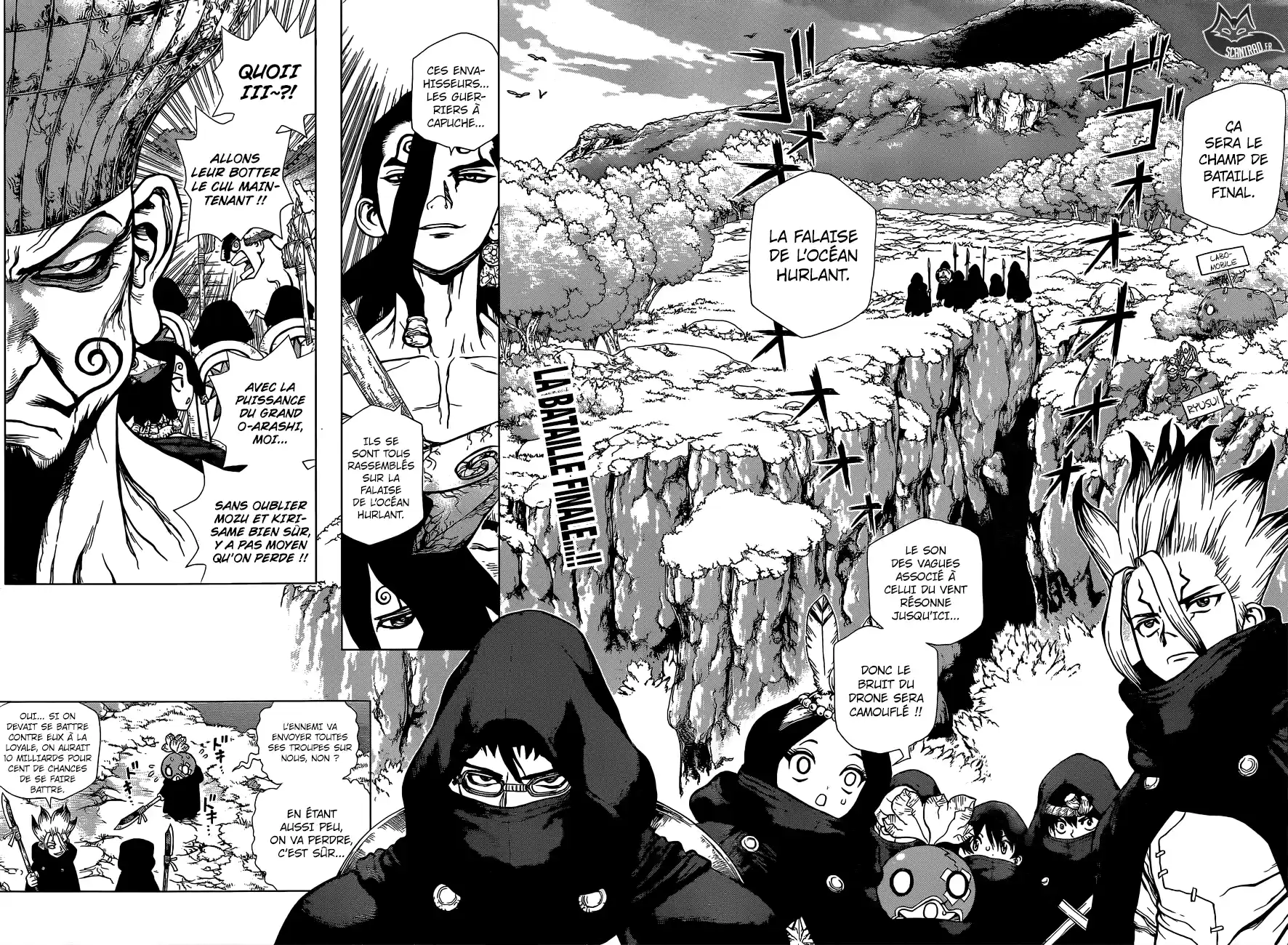 Read Dr. Stone FR Manga Online