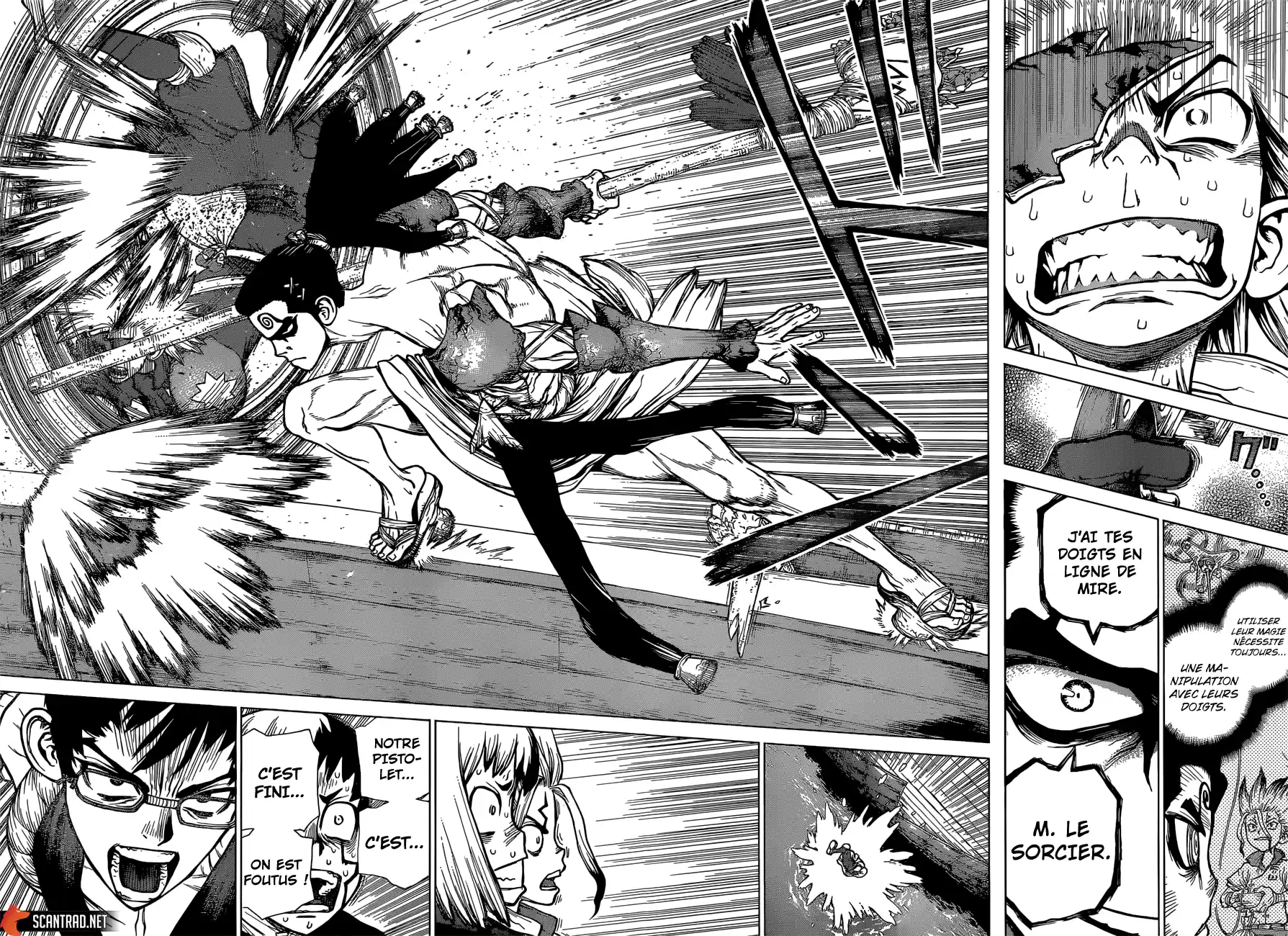 Read Dr. Stone FR Manga Online