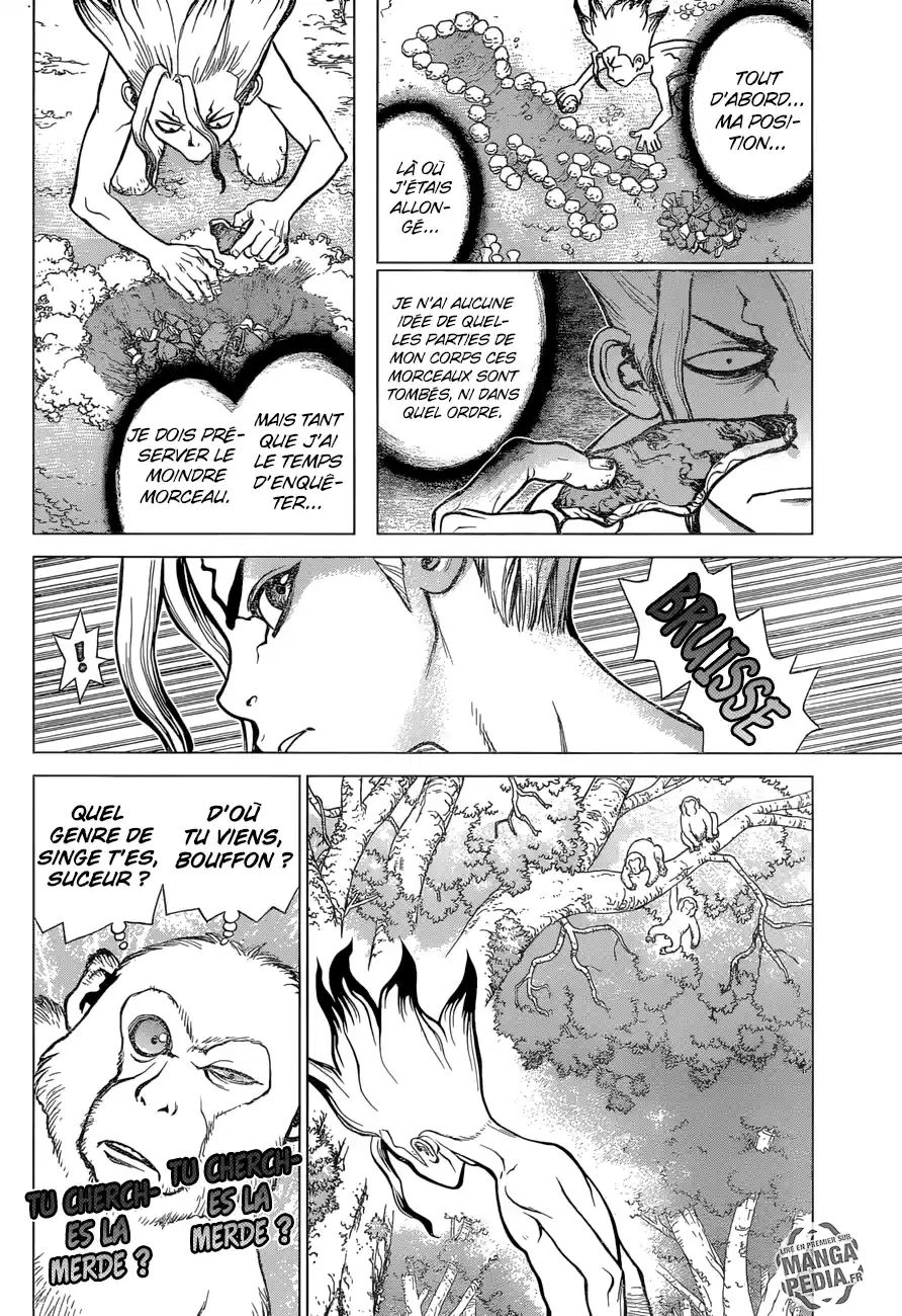 Read Dr. Stone FR Manga Online