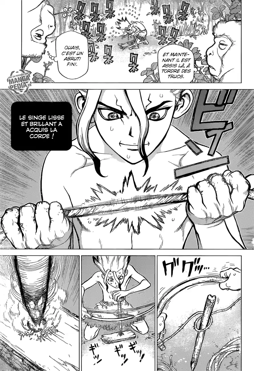 Read Dr. Stone FR Manga Online