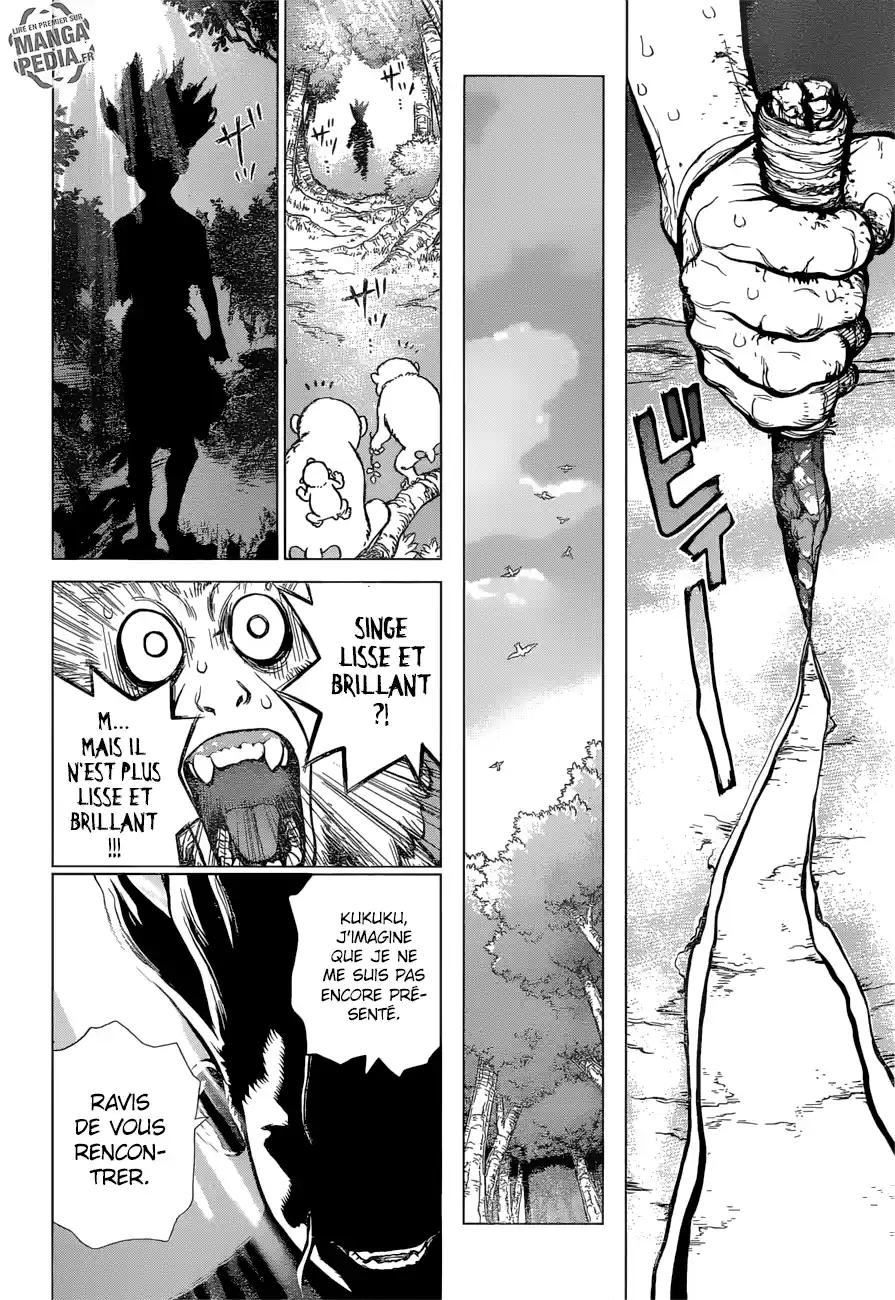 Read Dr. Stone FR Manga Online