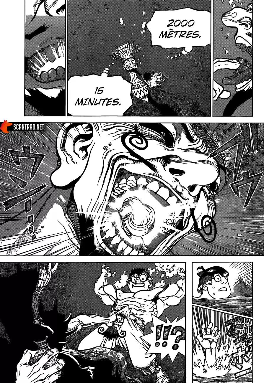 Read Dr. Stone FR Manga Online