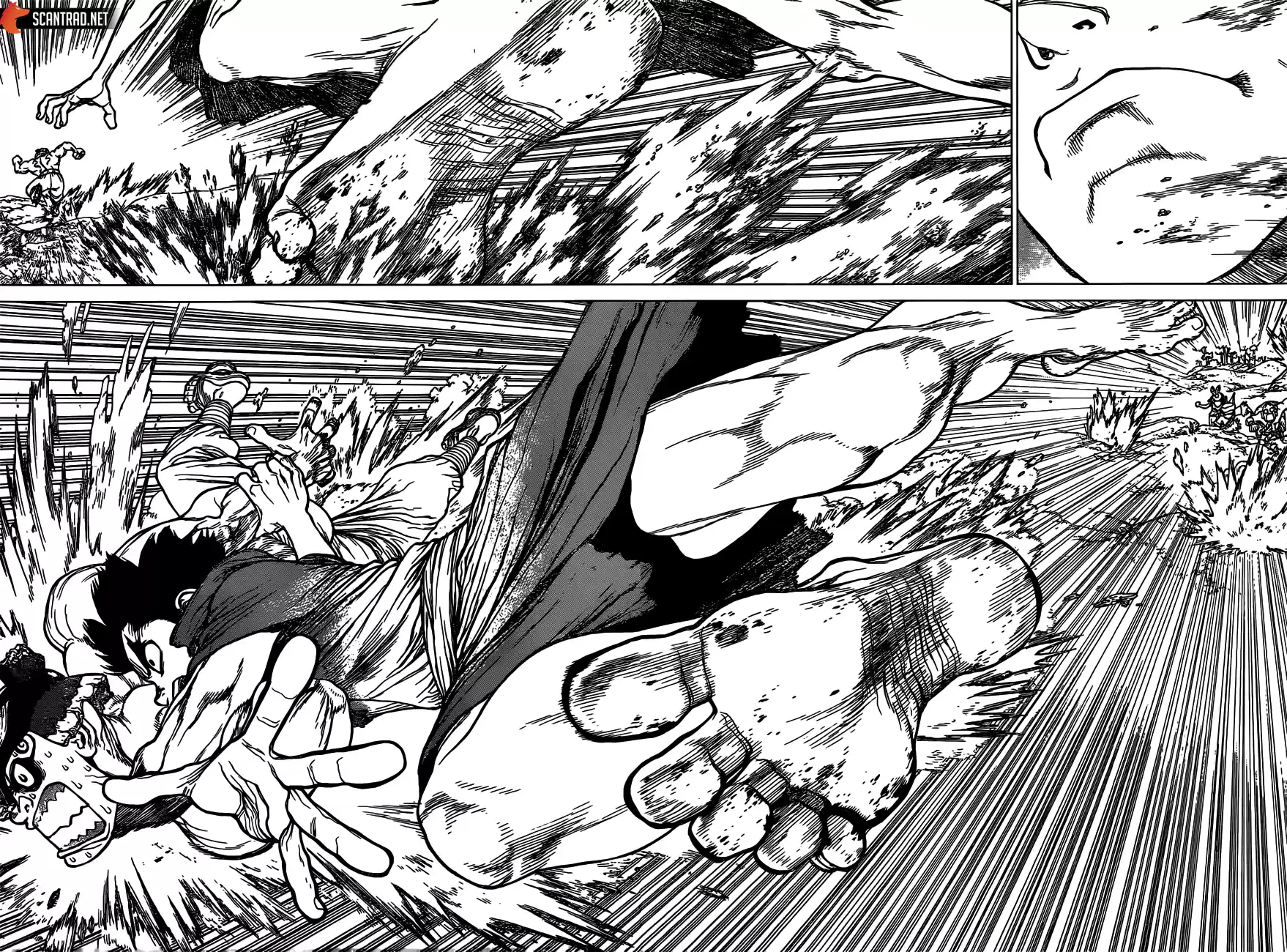 Read Dr. Stone FR Manga Online