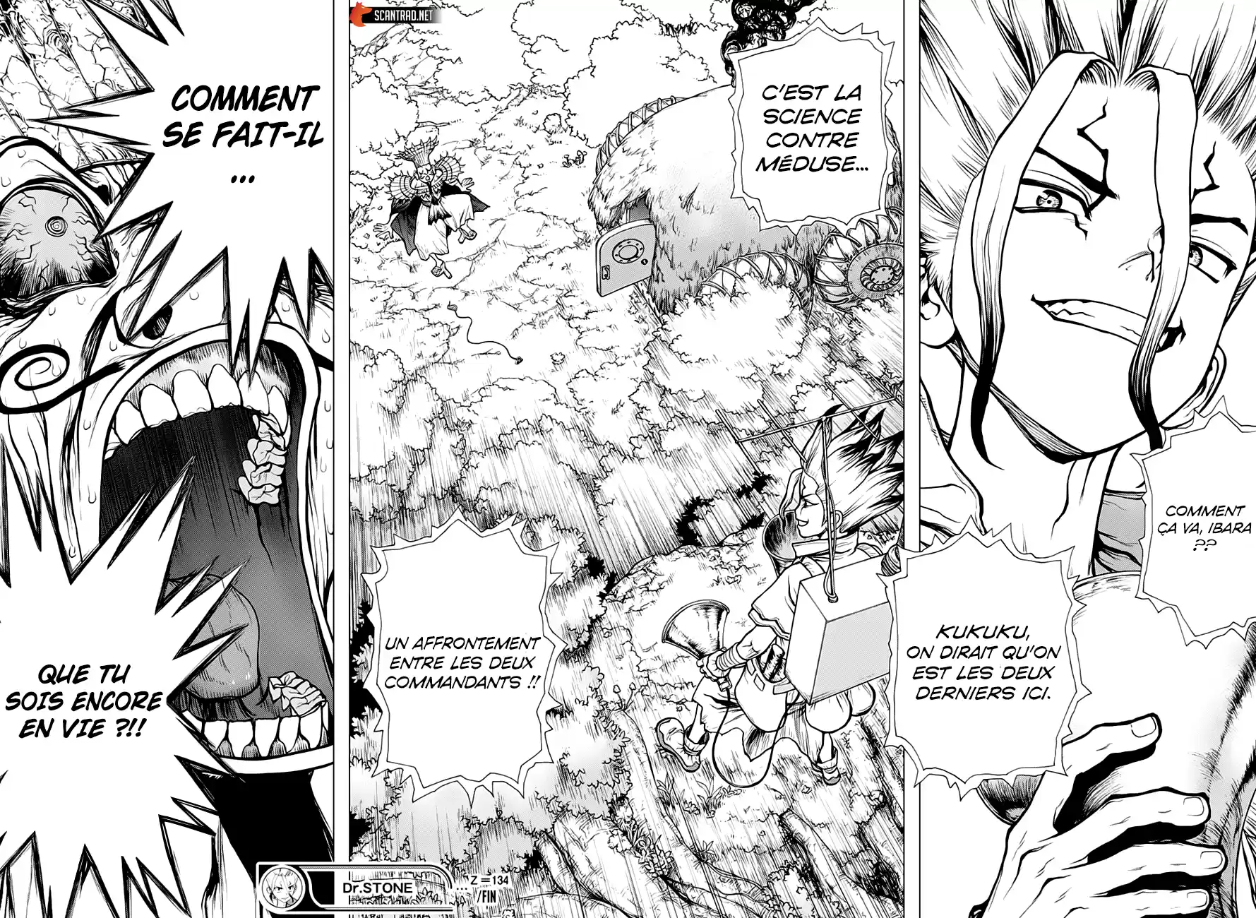 Read Dr. Stone FR Manga Online