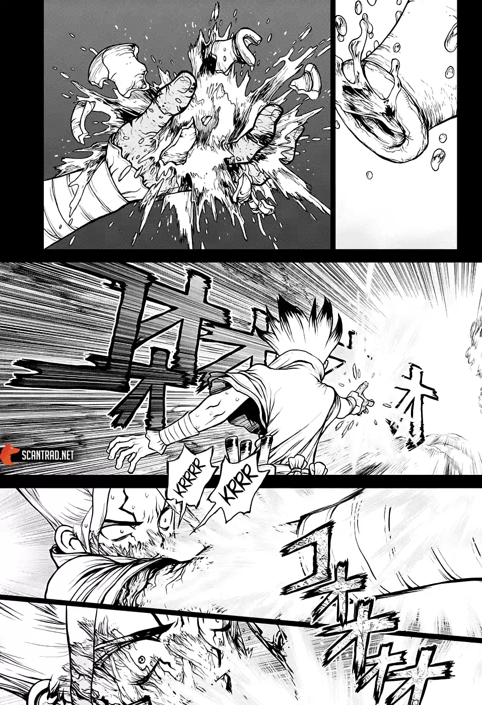 Read Dr. Stone FR Manga Online
